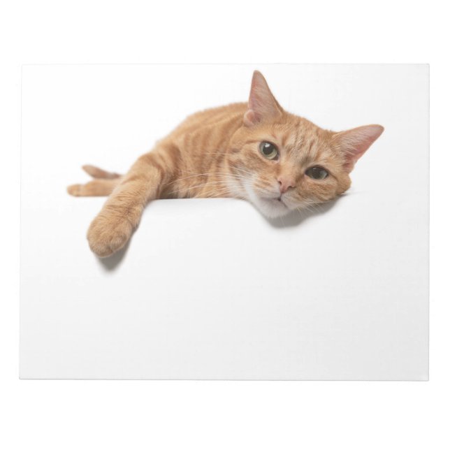 Orangefarbene Katze liegt Notizblock (Vorderseite)