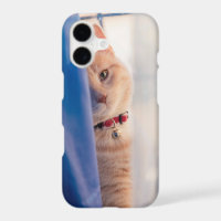 Orangefarbene Katze, nahe Halskette, blau