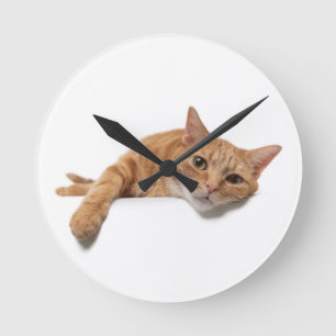 Orangefarbene Katze Runde Wanduhr