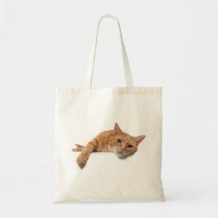 Orangefarbene Katze Tragetasche