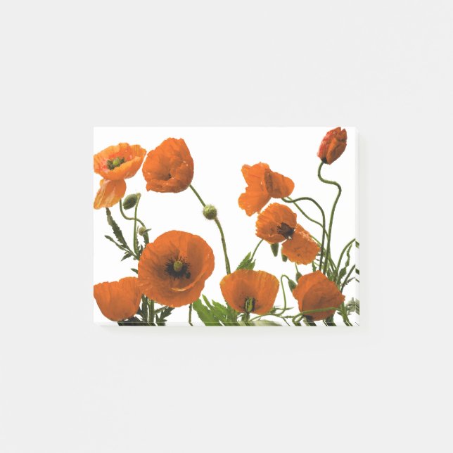 Orangefarbene Mohnblumen-Blume Post-it Klebezettel (Vorderseite)