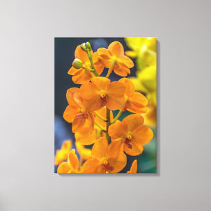 Orangefarbene Orchideen in naher Leinwand