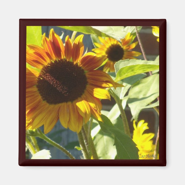 Orangefarbene Rose Sonnenblumen Magnet (Vorne)