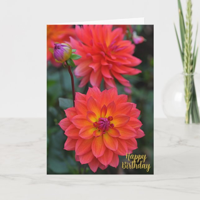 Orangefarbene, rote, gelbe Dahlia-Blume Glückwunsc Karte (Vorderseite)