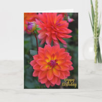 Orangefarbene, rote, gelbe Dahlia-Blume Glückwunsc