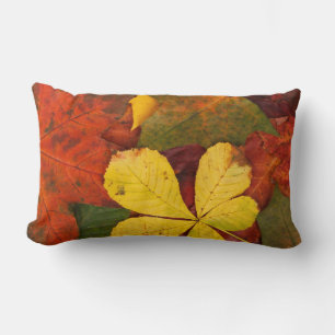 Orangefarbene, rote, gelbe Herbstleaves akzentes K Lendenkissen