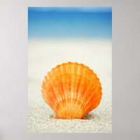Orangefarbene Scallop-Muschel Stehend aufrecht in
