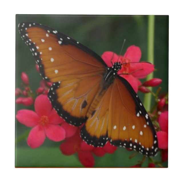 Orangefarbene Schmetterlinge Fliese (Vorderseite)