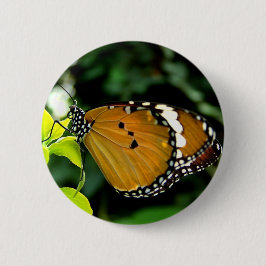 Orangefarbene, schwarze und weiße Schmetterlinge a Button