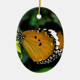 Orangefarbene, schwarze und weiße Schmetterlinge a Keramikornament