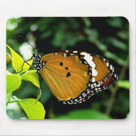 Orangefarbene, schwarze und weiße Schmetterlinge a Mousepad