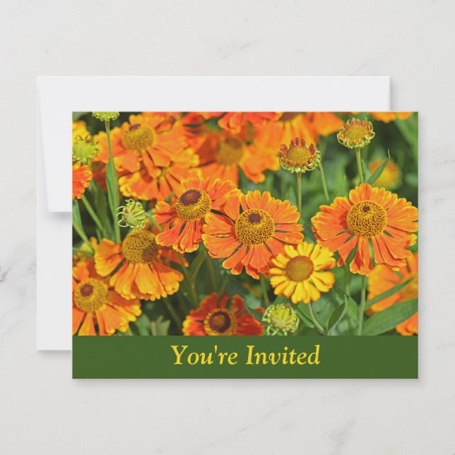 Orangefarbene Sneezewort Blume Überraschung Geburt Einladung (Vorderseite)