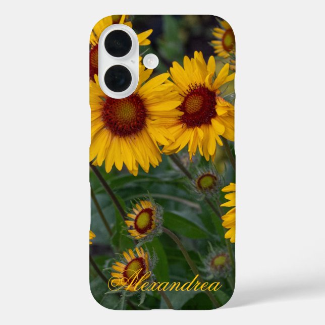 Orangefarbene Sonnenblumen - helle Sommerfotografi iPhone 16 Hülle (Rückseite)