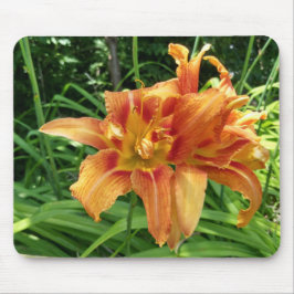 Orangefarbene Taglilie Blume Horizontal Mousepad