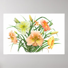 Orangefarbene Taglilien Originale botanische Kunst Poster