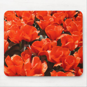 Orangefarbene Tulpen Mousepad