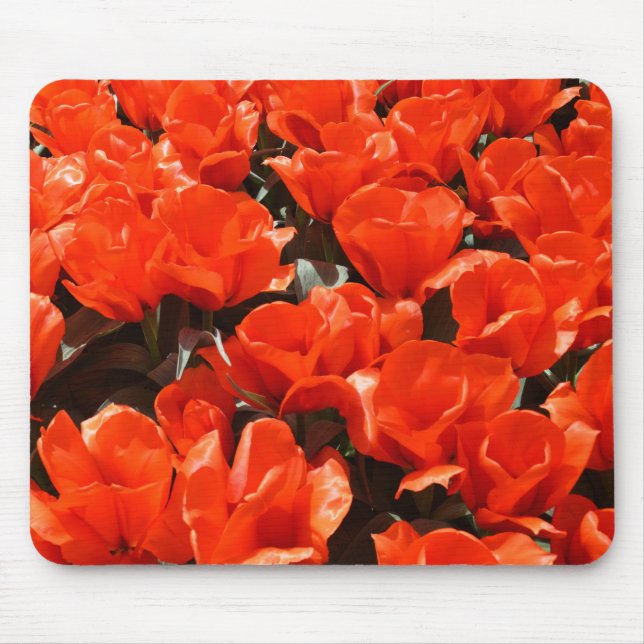 Orangefarbene Tulpen Mousepad (Vorne)