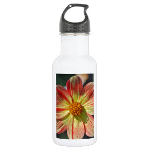 Orangefarbene und gelbe Dahlien-Blume Edelstahlflasche