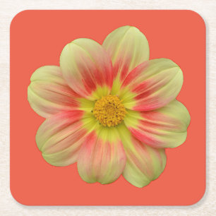Orangefarbene und gelbe Dahlien-Blume Rechteckiger Pappuntersetzer
