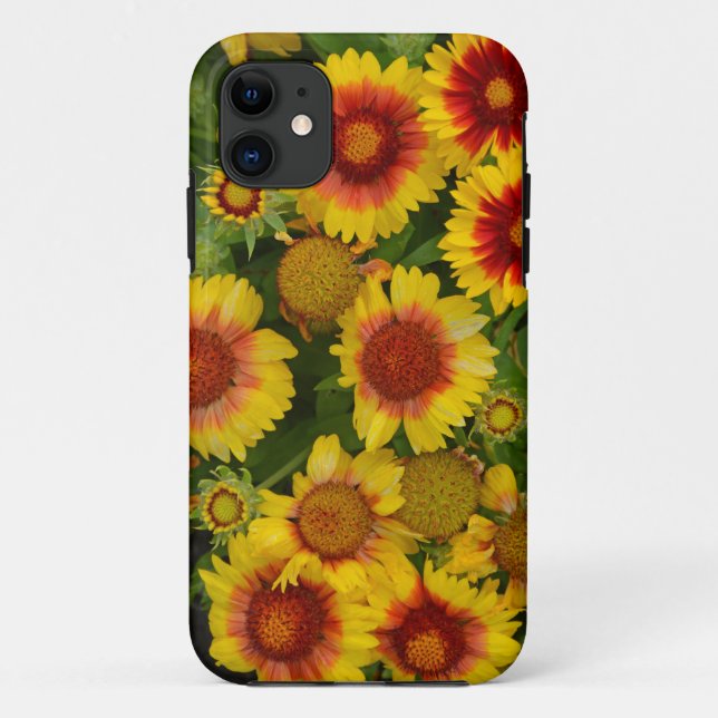 Orangefarbene und gelbe Echinacea Blumenkoffer Case-Mate iPhone Hülle (Rückseite)