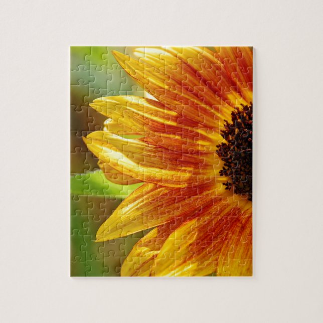 Orangefarbene und gelbe Sonnenblumen (Vertikal)