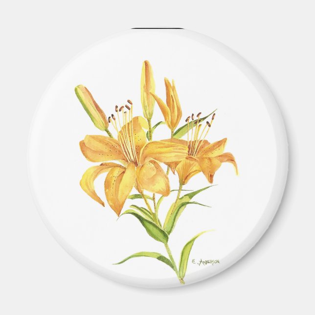 Orangefarbene und gelbe Tiger-lily-Blume Magnet (Vorne)