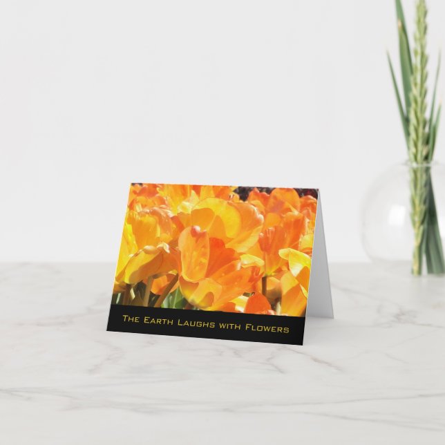 Orangefarbene und gelbe Tulips Erde lacht mit Blum (Vorderseite)