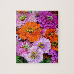 Orangefarbene und lila Dahlien-Blume