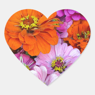Orangefarbene und lila Dahlien-Blume Herz-Aufkleber