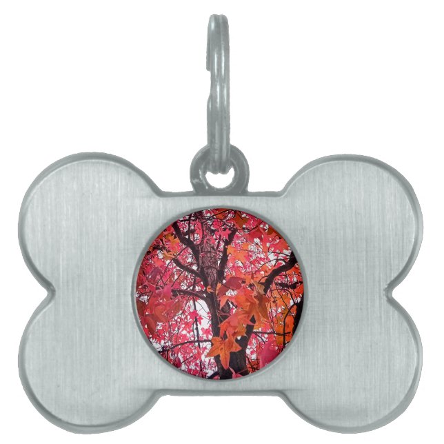 Orangefarbene und rosa Blätter Tiermarke (Vorderseite)
