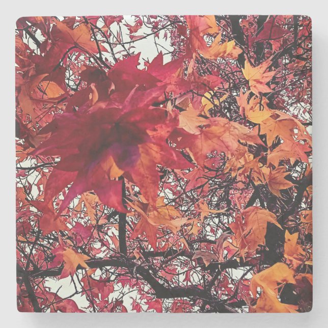 Orangefarbene und rote Blätter Steinuntersetzer (Vorderseite)