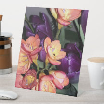Orangefarbene und violette Blumen