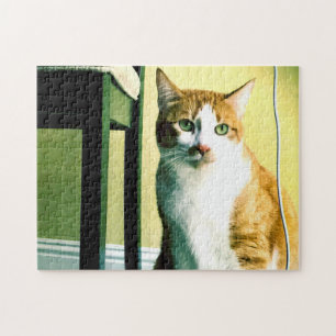 Orangefarbene und weiße Katze mit Stuhl