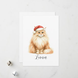 Orangefarbene Weihnachtsmannmütze Feiertagskarte