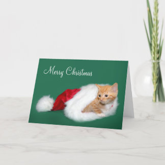 Orangefarbene Weihnachtsmannmütze Feiertagskarte