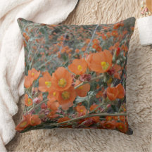 Orangefarbene Wüstenglühende Blume im Blut