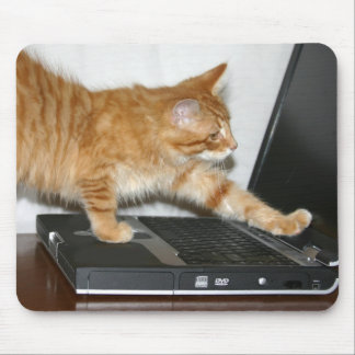 Orangefarbener Computer Mousepad