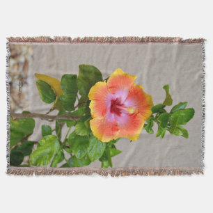 Orangefarbener Hibiskus Blume Keule Decke