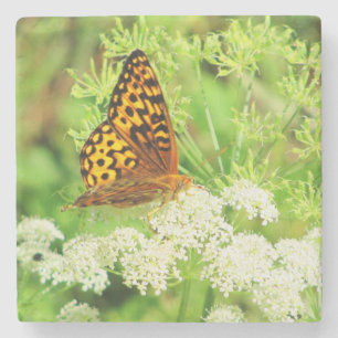 Orangefarbener Schmetterling auf Blume Steinuntersetzer