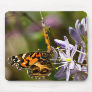 Orangefarbener Schmetterling auf wilder Hyazinthe Mousepad