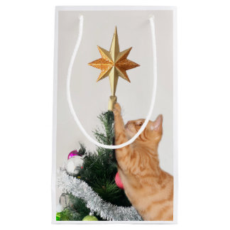 Orangefarbener Tisch und Weihnachtsstern Kleine Geschenktüte