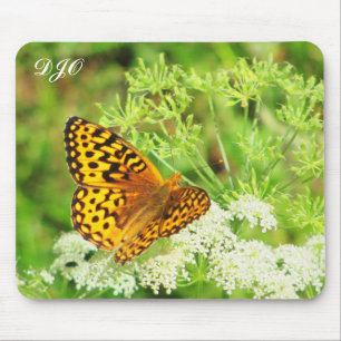 Orangefarbener und schwarzer Schmetterling ruht au Mousepad