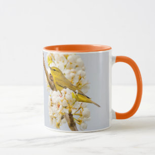 Orangefarbener Warbler inmitten der Kirschblüten Tasse