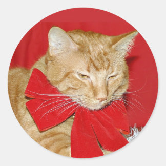 Orangefarbener Weihnachtsbogenaufkleber Runder Aufkleber