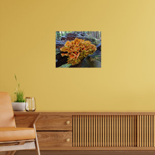 Orangefarbenes Huhn im Wald Pilz Poster