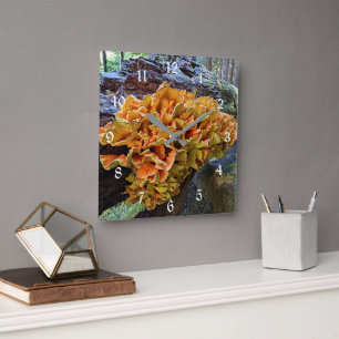 Orangefarbenes Huhn im Wald Pilz Quadratische Wanduhr