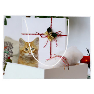 Orangefarbenes Kätzchen Weihnachten Große Geschenktüte