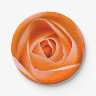 Orangefarbenes Rose-Blume Pappteller