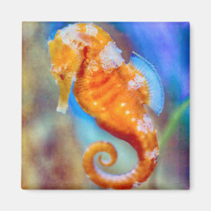 Orangefarbenes Seepferd Magnet