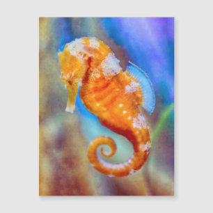 Orangefarbenes Seepferd Magnetkarte